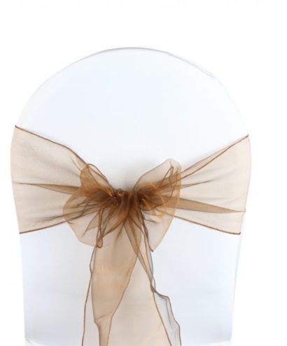 Noeuds de chaises organza plusieurs coloris